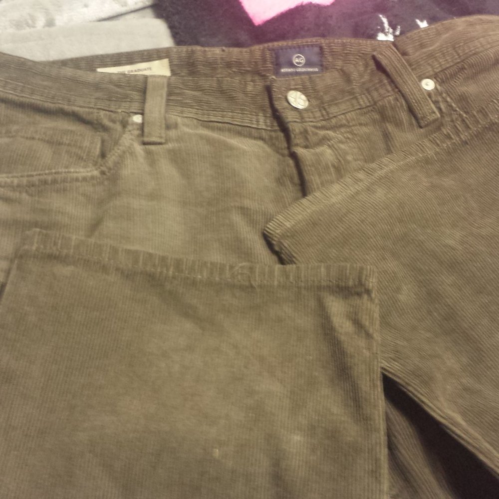 Adriano Goldschmied The Graduate pants